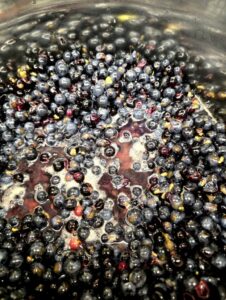 Domowy sok z winogron